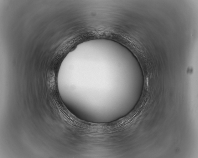 X0000089660963200706210727