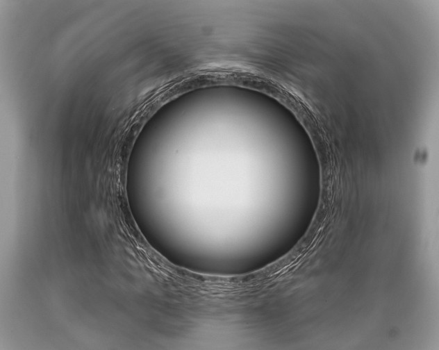 X0000089660965200706210727