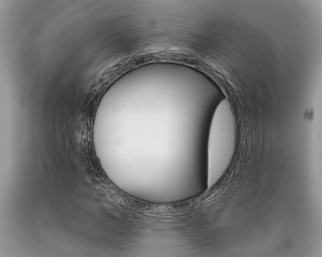 X0000089660966200706210727