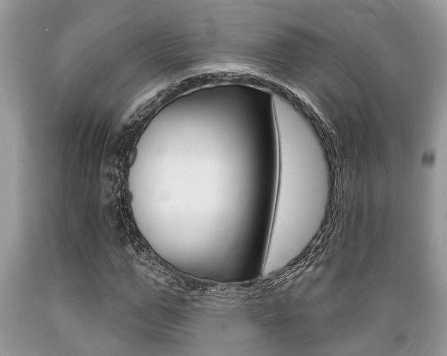 X0000089660967200706210727