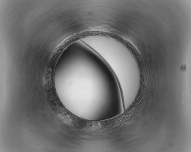 X0000089660968200706210727
