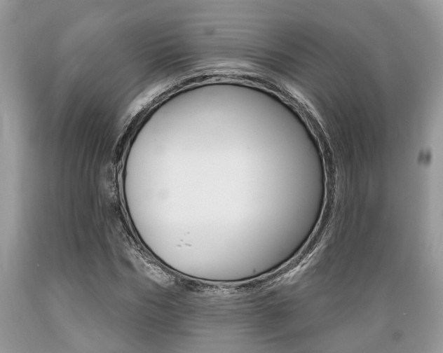 X0000089660970200706210727