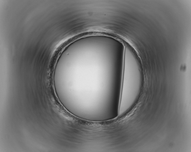 X0000089660971200706210727