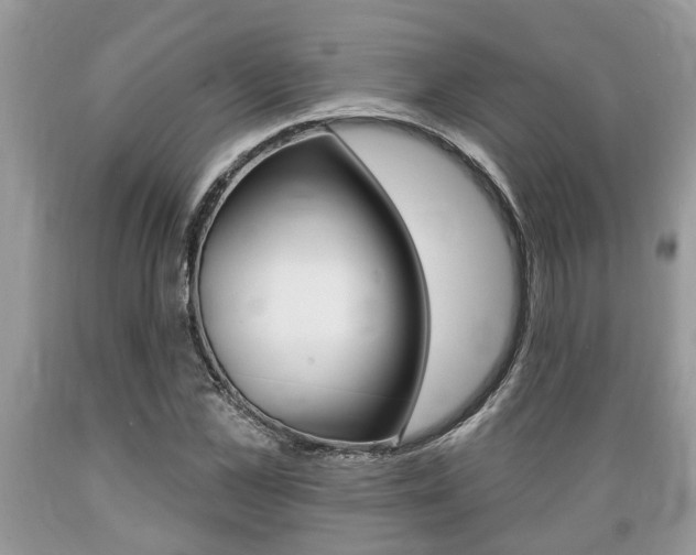 X0000089660973200706210727