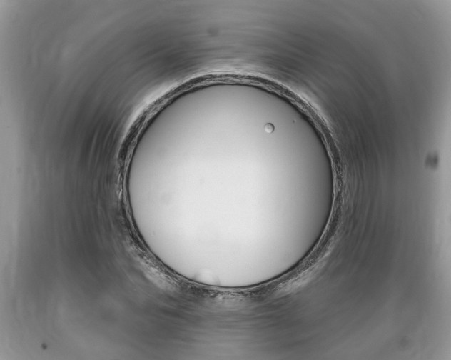 X0000089660974200706210727