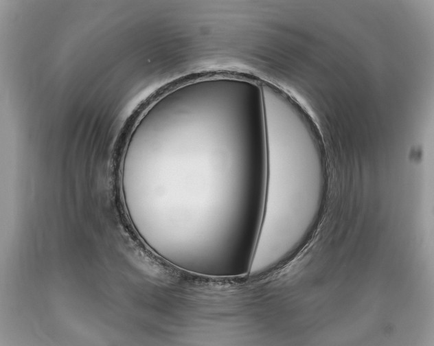 X0000089660975200706210727