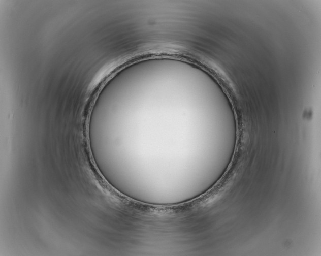 X0000089660978200706210727