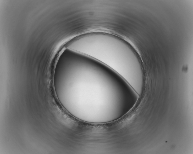 X0000089660979200706210727