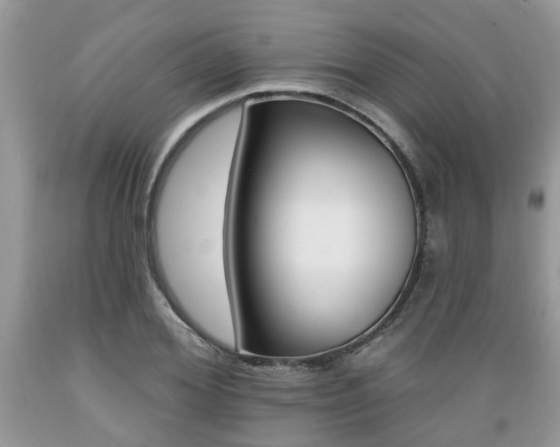 X0000089660980200706210727