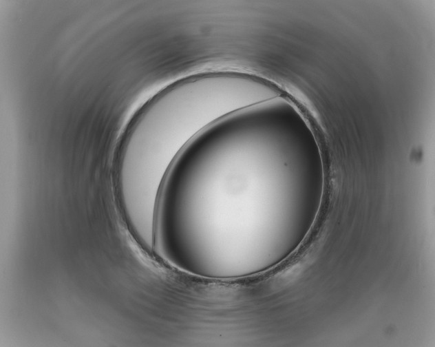 X0000089660981200706210727
