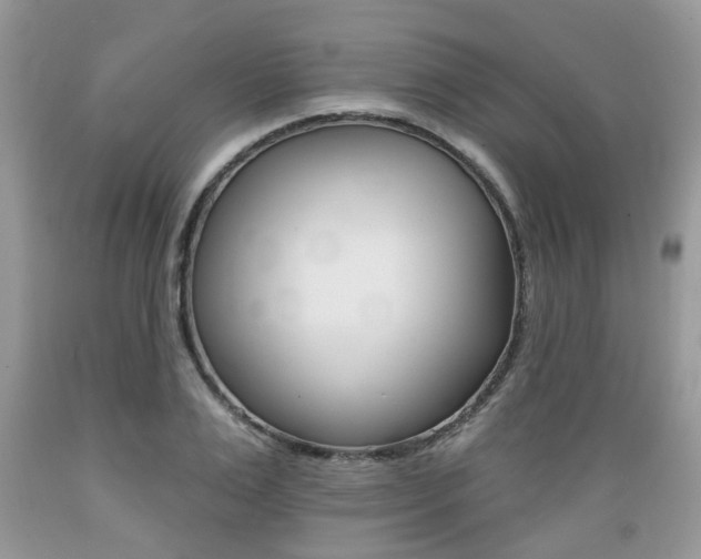 X0000089660983200706210726
