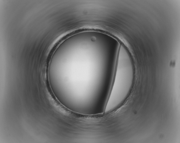 X0000089660984200706210726