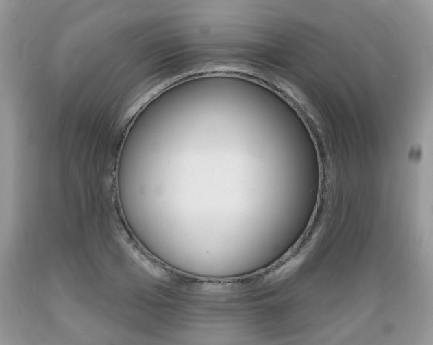 X0000089660985200706210726