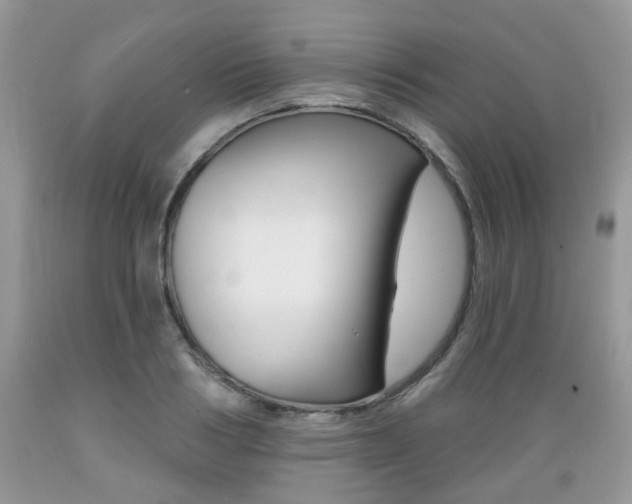 X0000089660986200706210726