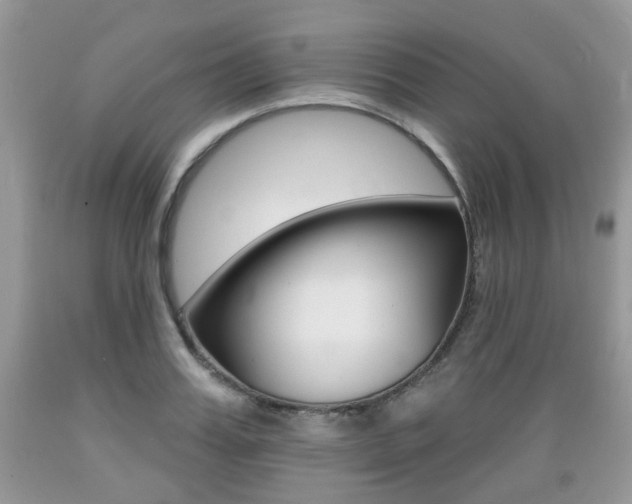 X0000089660987200706210726
