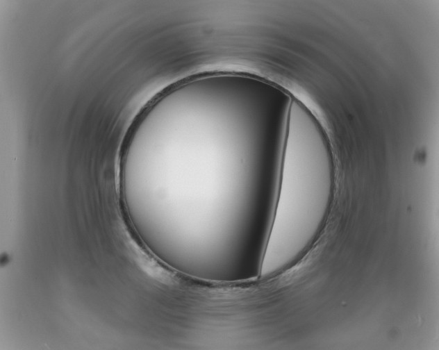 X0000089660988200706210726