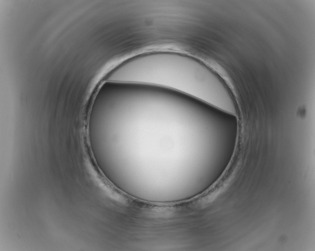 X0000089660989200706210726