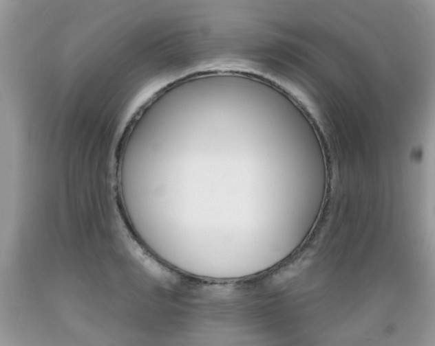 X0000089660990200706210726