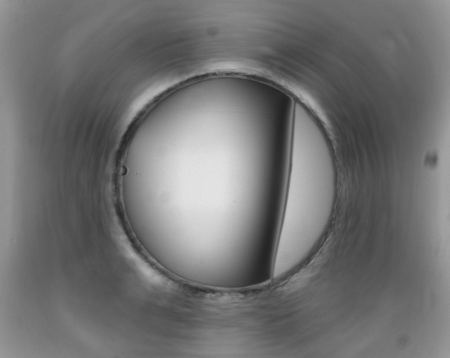 X0000089660991200706210726