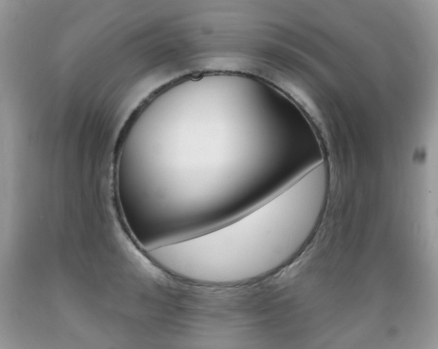 X0000089660992200706210726