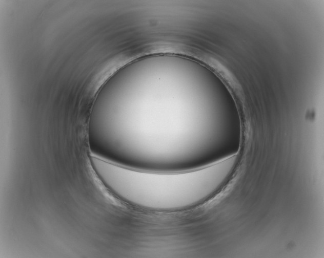 X0000089660993200706210726