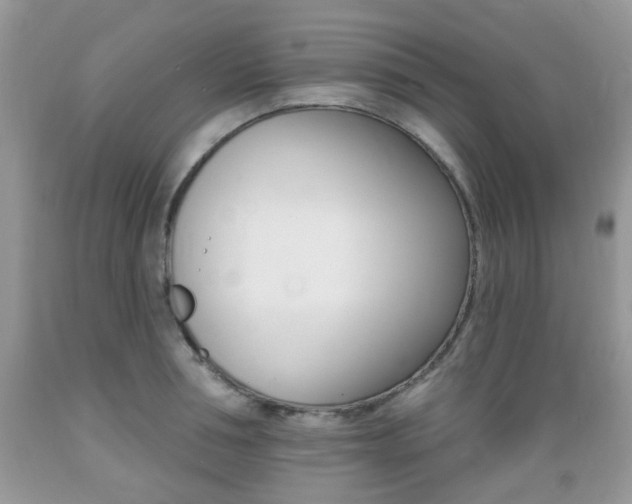 X0000089660994200706210726