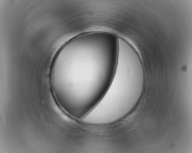 X0000089660995200706210726