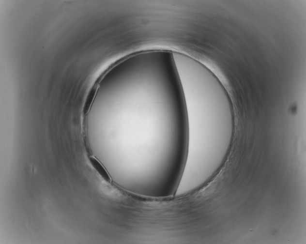 X0000089660996200706210726