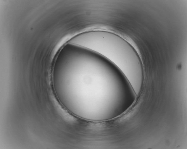 X0000089660997200706210726