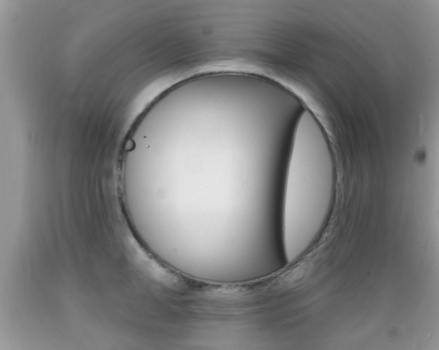 X0000089660998200706210726