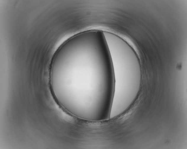 X0000089660999200706210726