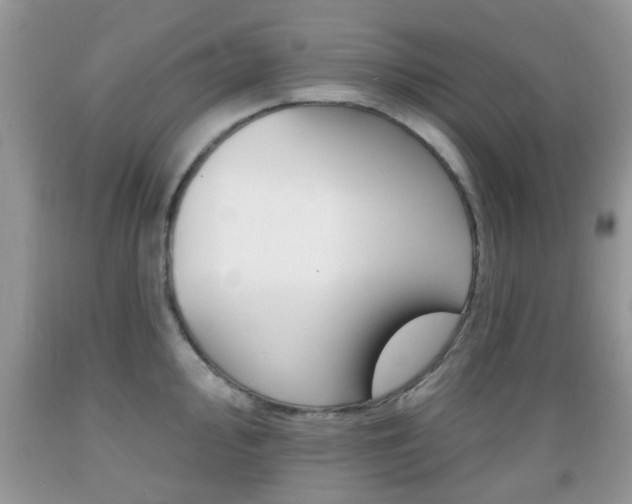 X0000089661000200706210726