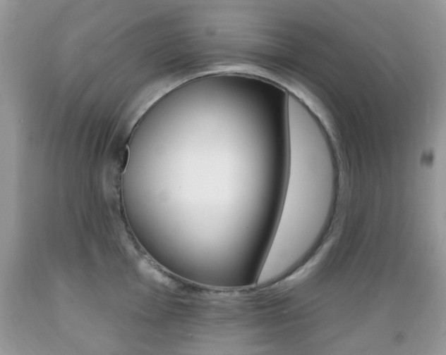 X0000089661001200706210726