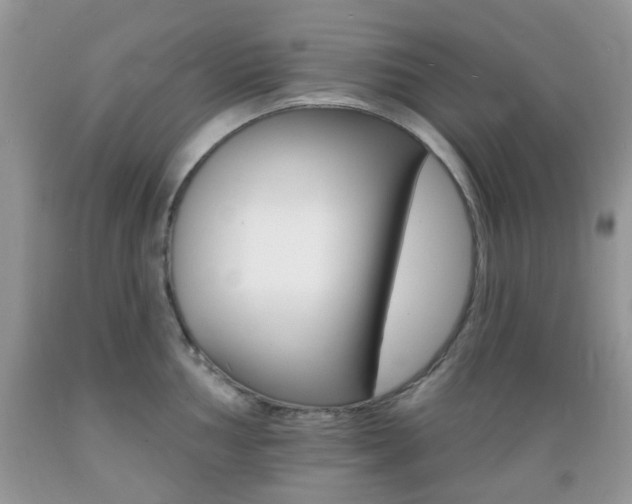 X0000089661002200706210726