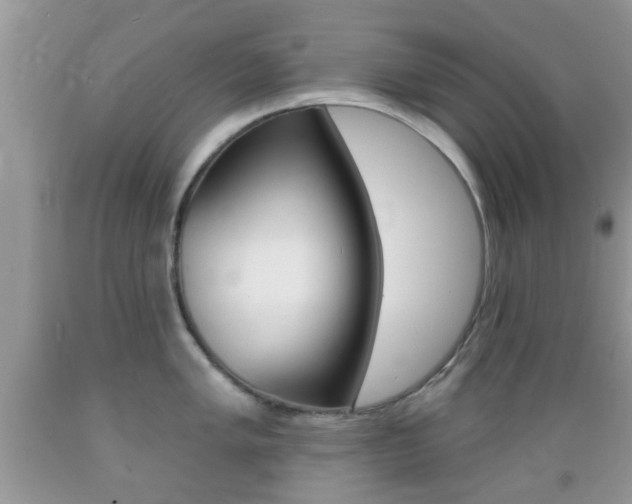 X0000089661005200706210726