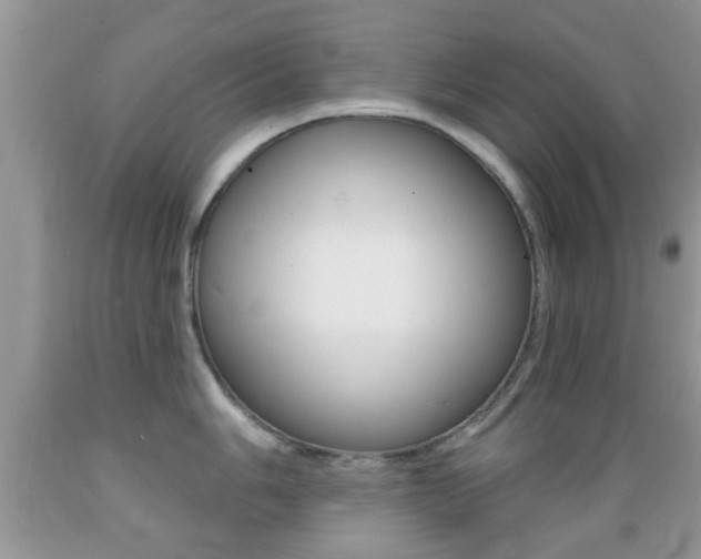 X0000089661006200706210726