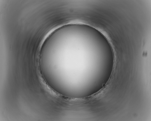 X0000089661008200706210726