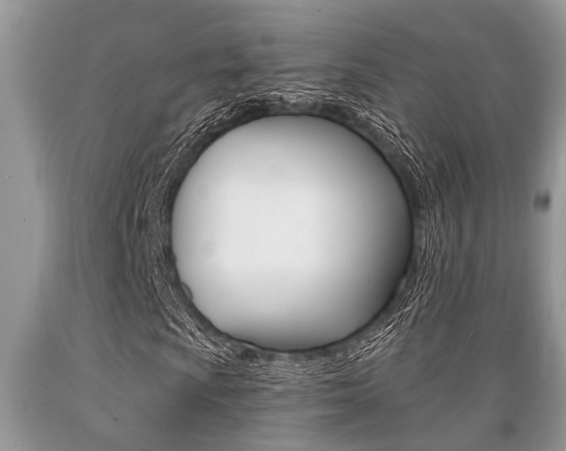 X0000089661009200706210725