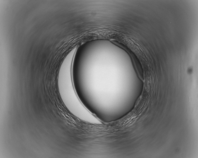 X0000089661010200706210725