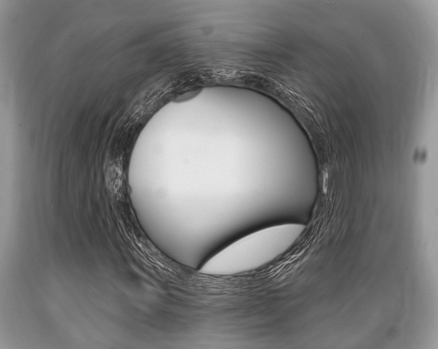 X0000089661011200706210726