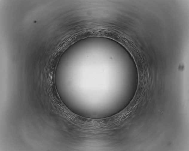 X0000089661013200706210726