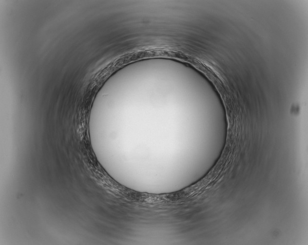 X0000089661015200706210726