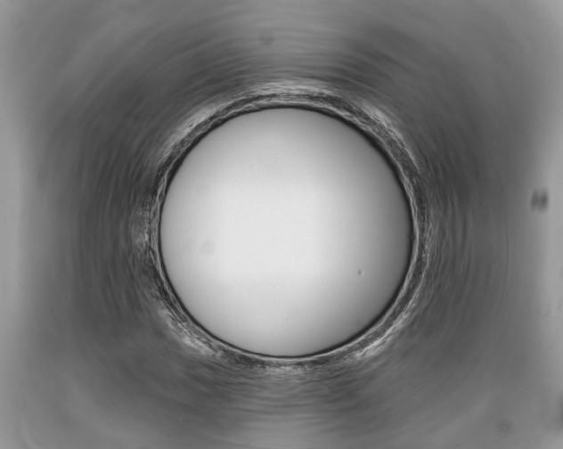 X0000089661017200706210726
