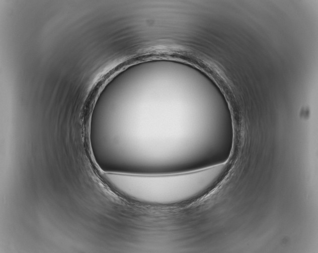 X0000089661018200706210726