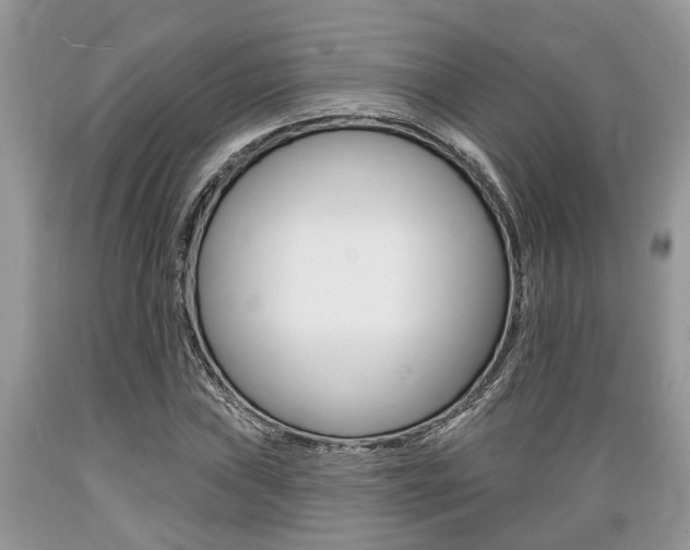 X0000089661019200706210726