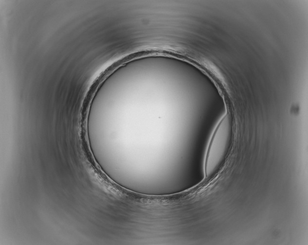 X0000089661020200706210726