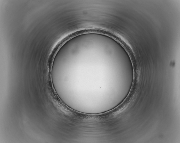 X0000089661021200706210726