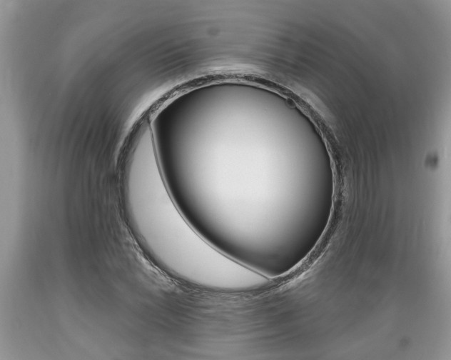 X0000089661022200706210726