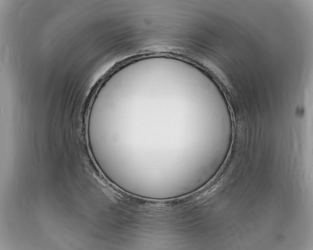 X0000089661023200706210726