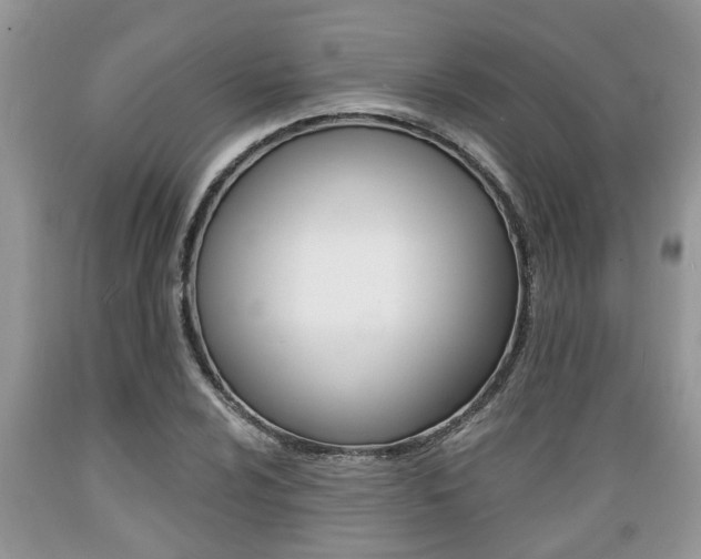 X0000089661024200706210726